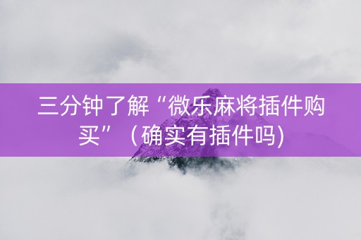 三分钟了解“微乐麻将插件购买”（确实有插件吗)