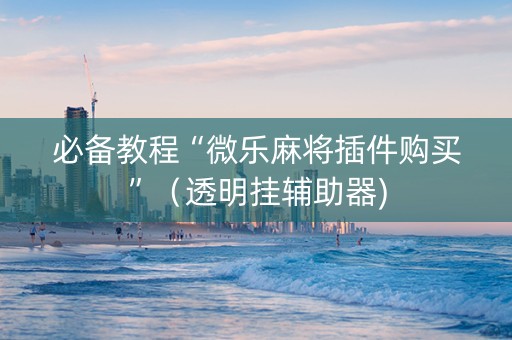 必备教程“微乐麻将插件购买”（透明挂辅助器)