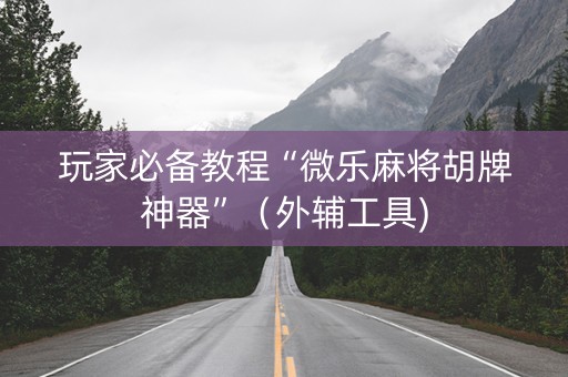 玩家必备教程“微乐麻将胡牌神器”（外辅工具)