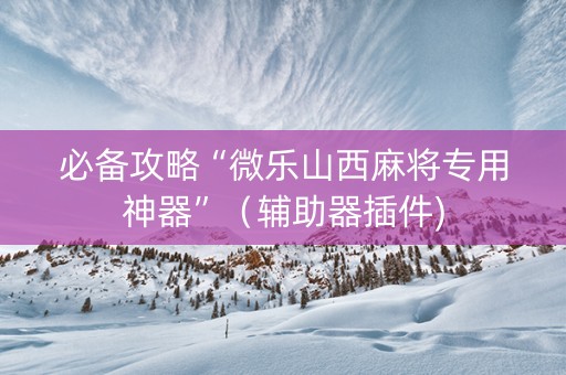 必备攻略“微乐山西麻将专用神器”（辅助器插件)