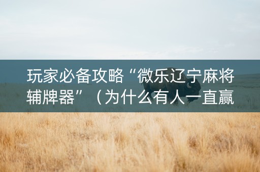 玩家必备攻略“微乐辽宁麻将辅牌器”（为什么有人一直赢)