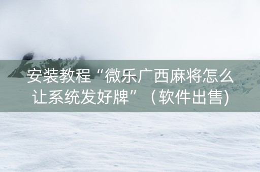 安装教程“微乐广西麻将怎么让系统发好牌”（软件出售)