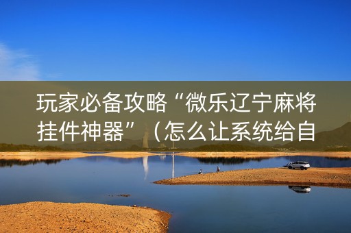玩家必备攻略“微乐辽宁麻将挂件神器”（怎么让系统给自己好牌)
