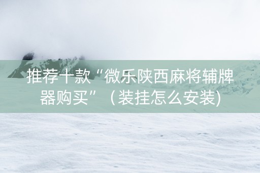 推荐十款“微乐陕西麻将辅牌器购买”（装挂怎么安装)