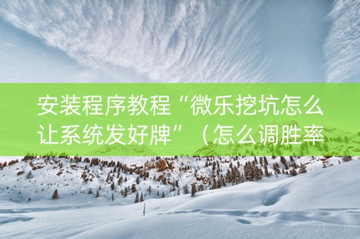 安装程序教程“微乐挖坑怎么让系统发好牌”（怎么调胜率)