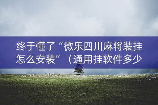 终于懂了“微乐四川麻将装挂怎么安装”（通用挂软件多少钱)