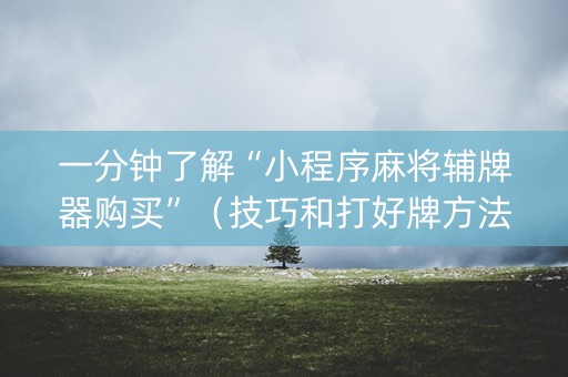 一分钟了解“小程序麻将辅牌器购买”（技巧和打好牌方法)