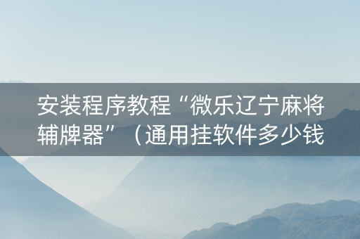 安装程序教程“微乐辽宁麻将辅牌器”（通用挂软件多少钱)