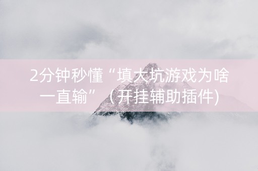 2分钟秒懂“填大坑游戏为啥一直输”（开挂辅助插件)