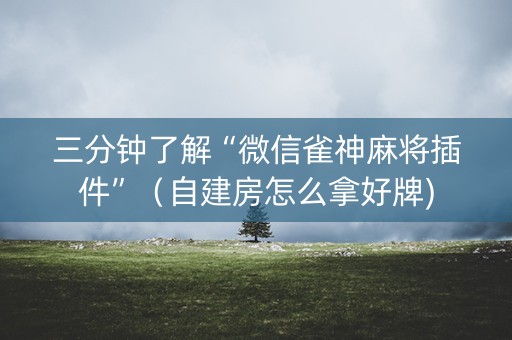 三分钟了解“微信雀神麻将插件”（自建房怎么拿好牌)