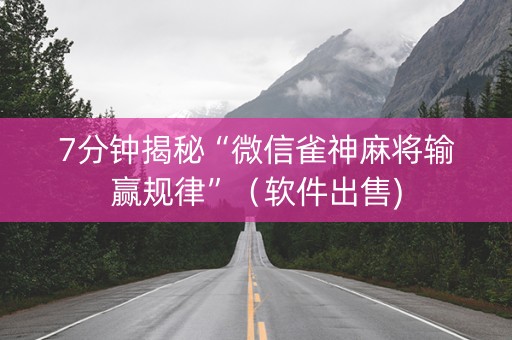 7分钟揭秘“微信雀神麻将输赢规律”（软件出售)