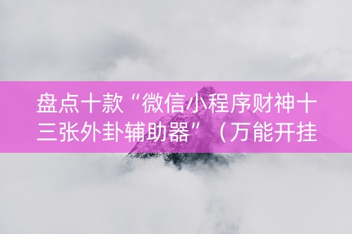 盘点十款“微信小程序财神十三张外卦辅助器”（万能开挂器)