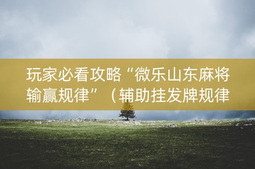 玩家必看攻略“微乐山东麻将输赢规律”（辅助挂发牌规律)