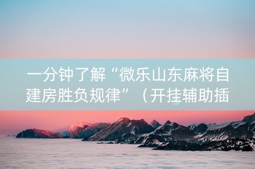 一分钟了解“微乐山东麻将自建房胜负规律”（开挂辅助插件)