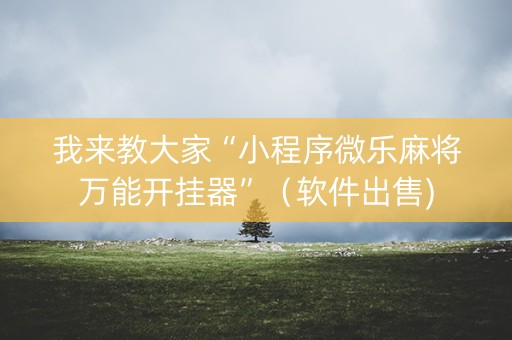 我来教大家“小程序微乐麻将万能开挂器”（软件出售)