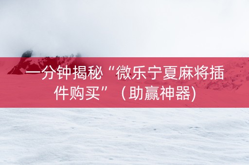 一分钟揭秘“微乐宁夏麻将插件购买”（助赢神器)