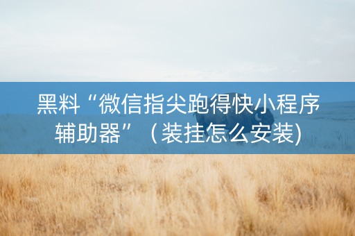 黑料“微信指尖跑得快小程序辅助器”（装挂怎么安装)