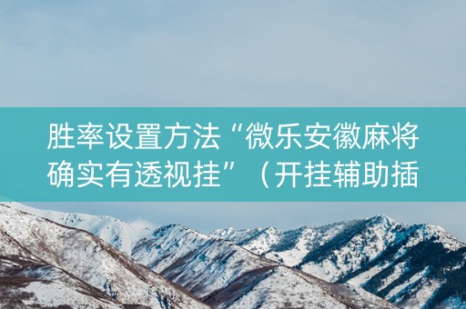 胜率设置方法“微乐安徽麻将确实有透视挂”（开挂辅助插件)