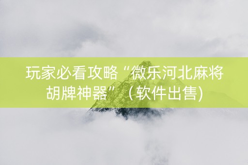 玩家必看攻略“微乐河北麻将胡牌神器”（软件出售)