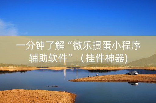 一分钟了解“微乐掼蛋小程序辅助软件”（挂件神器)