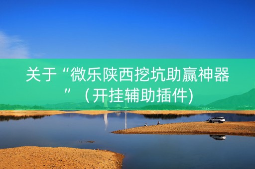 关于“微乐陕西挖坑助赢神器”（开挂辅助插件)