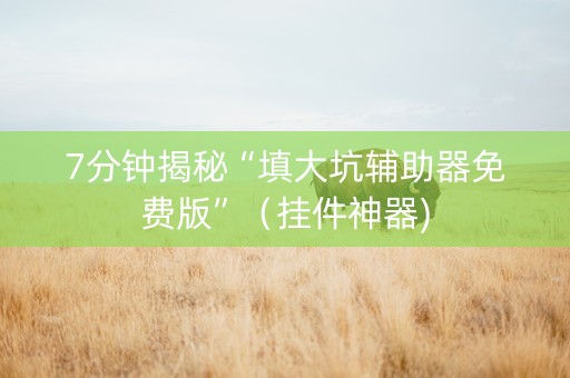 7分钟揭秘“填大坑辅助器免费版”（挂件神器)