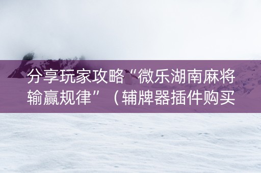 分享玩家攻略“微乐湖南麻将输赢规律”（辅牌器插件购买)