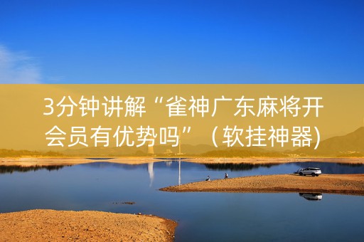 3分钟讲解“雀神广东麻将开会员有优势吗”（软挂神器)