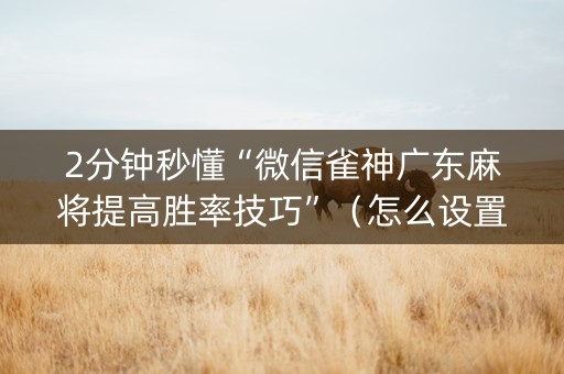2分钟秒懂“微信雀神广东麻将提高胜率技巧”（怎么设置能有好牌)