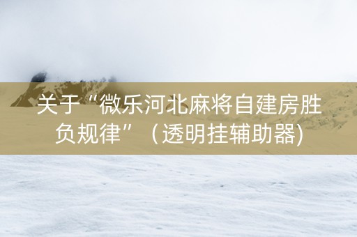 关于“微乐河北麻将自建房胜负规律”（透明挂辅助器)