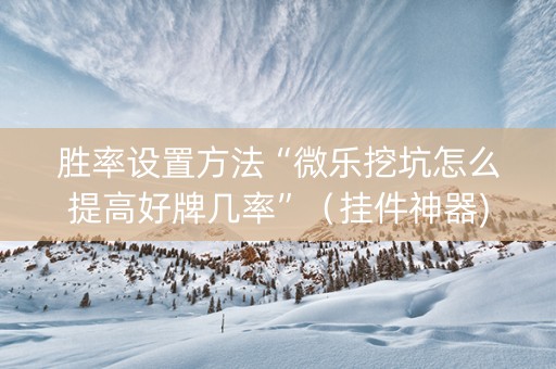 胜率设置方法“微乐挖坑怎么提高好牌几率”（挂件神器)