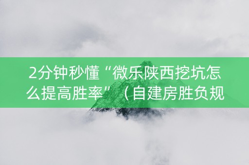2分钟秒懂“微乐陕西挖坑怎么提高胜率”（自建房胜负规律)