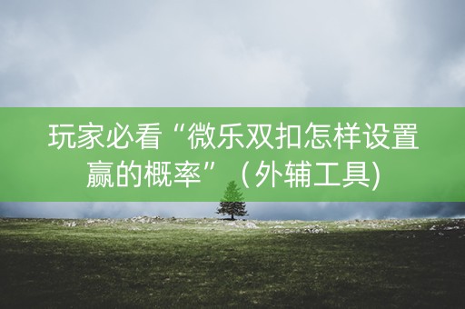 玩家必看“微乐双扣怎样设置赢的概率”（外辅工具)