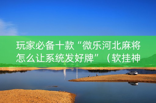 玩家必备十款“微乐河北麻将怎么让系统发好牌”（软挂神器)