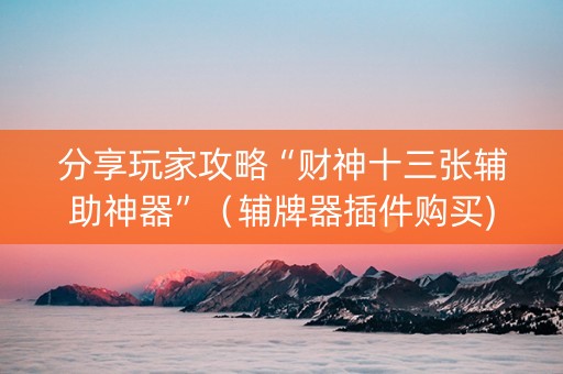 分享玩家攻略“财神十三张辅助神器”（辅牌器插件购买)