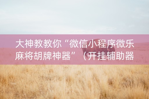 大神教教你“微信小程序微乐麻将胡牌神器”（开挂辅助器插件)
