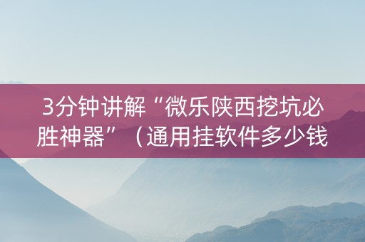 3分钟讲解“微乐陕西挖坑必胜神器”（通用挂软件多少钱)