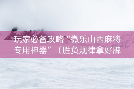 玩家必备攻略“微乐山西麻将专用神器”（胜负规律拿好牌)