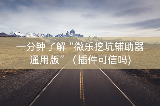 一分钟了解“微乐挖坑辅助器通用版”（插件可信吗)