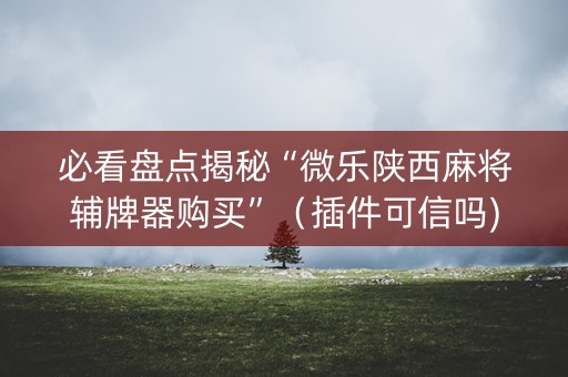 必看盘点揭秘“微乐陕西麻将辅牌器购买”（插件可信吗)
