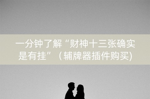 一分钟了解“财神十三张确实是有挂”（辅牌器插件购买)