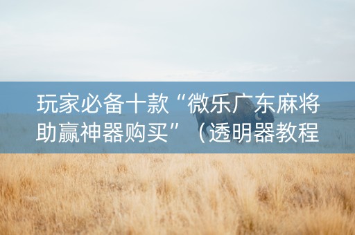 玩家必备十款“微乐广东麻将助赢神器购买”（透明器教程)