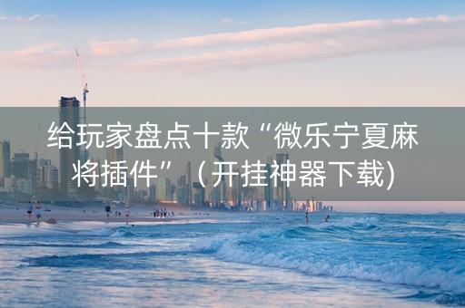 给玩家盘点十款“微乐宁夏麻将插件”（开挂神器下载)