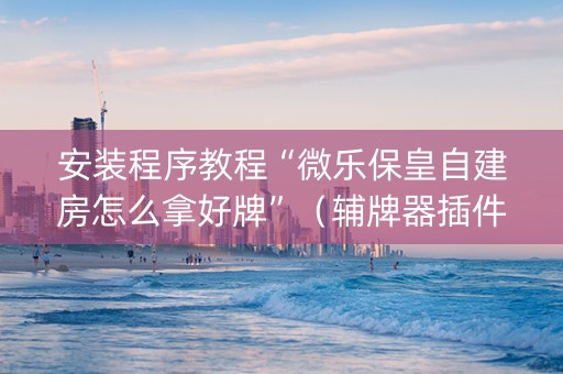 安装程序教程“微乐保皇自建房怎么拿好牌”（辅牌器插件购买)