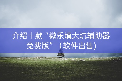 介绍十款“微乐填大坑辅助器免费版”（软件出售)