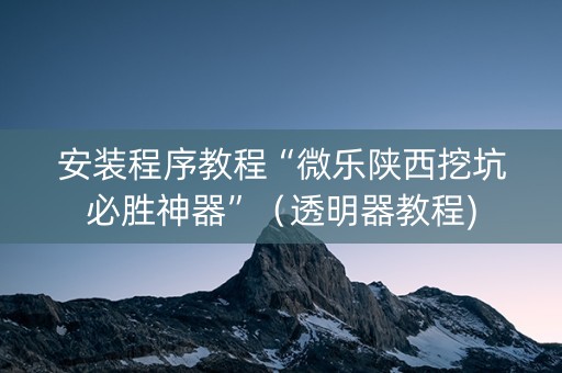 安装程序教程“微乐陕西挖坑必胜神器”（透明器教程)
