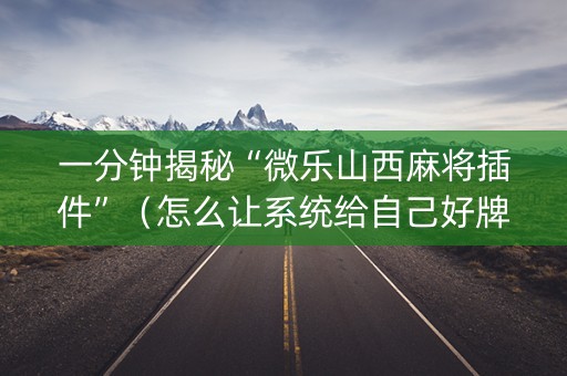一分钟揭秘“微乐山西麻将插件”（怎么让系统给自己好牌)