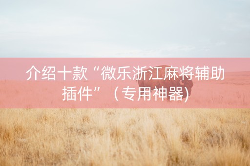 介绍十款“微乐浙江麻将辅助插件”（专用神器)