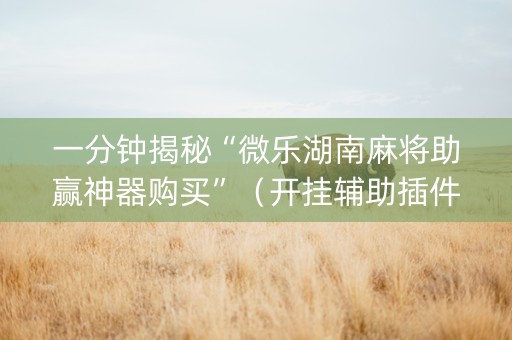 一分钟揭秘“微乐湖南麻将助赢神器购买”（开挂辅助插件)