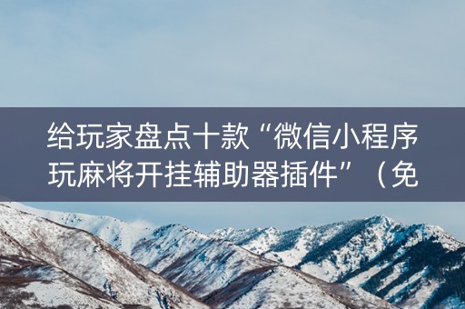给玩家盘点十款“微信小程序玩麻将开挂辅助器插件”（免费辅助)